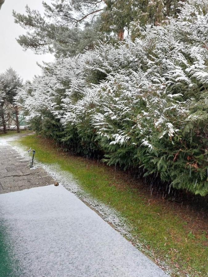 Dunakanyar, Szentendrei Sziget Szamoca Vendeghaz Horany Telen Nyaron Szigetmonostor ภายนอก รูปภาพ